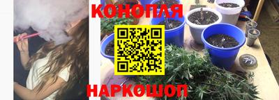 гашик Малгобек