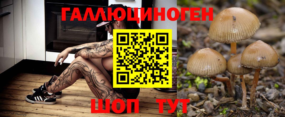 где купить наркоту  Псилоцибиновые грибы Psilocybine cubensis  Вход с VPN  Старая Купавна 